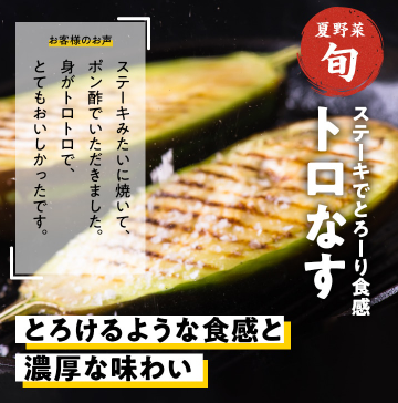 【2025年限定】Oisixの夏祭りセール！豪華16品が79%OFFの大特価！