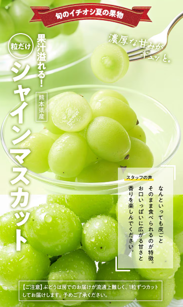 【2025年限定】Oisixの大感謝祭・秋の収穫セール！豪華15品が76%OFFの大特価