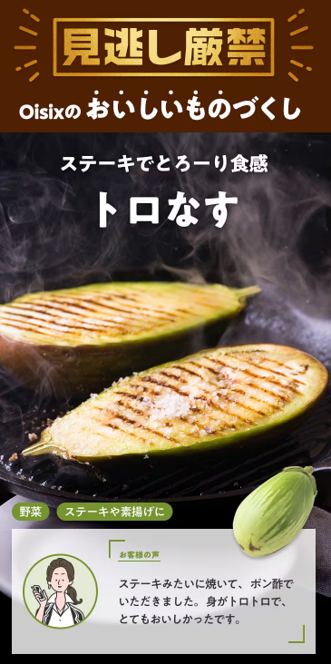 【2025年限定】Oisixの日で記念セール！豪華15品が75%OFFの大特価