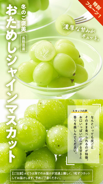 【2025年限定】Oisixのブラックフライデーセールに含まれる15品の内容
