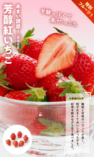 【2026年限定】Oisixの新春招福セールに含まれる15品の内容