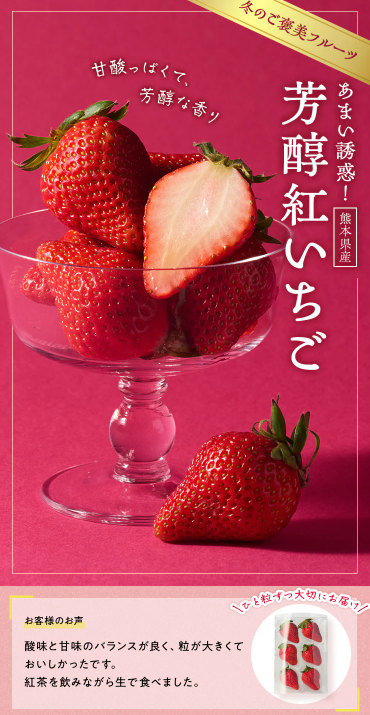 【2026年最新】Oisixの総決算セールは15品が76オフの超お得セット！