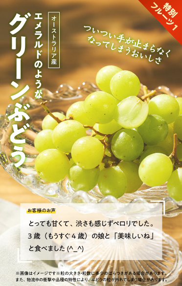 【2026年限定】Oisixのスプリングセール!豪華16品が74%OFFの大特価