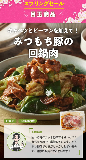 【2026年最新】Oisixのスプリングセールは16品が74%オフの超お得セット!