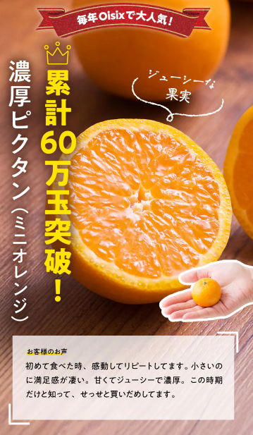 【2026年限定】Oisixの初夏サマーセール！豪華16品が75%OFFの大特価