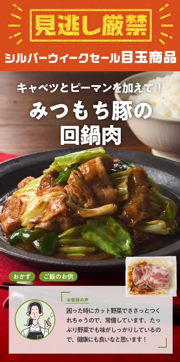 【2026年最新】Oisixの大感謝祭シルバーウィークセールは16品76%オフの超お得セット!