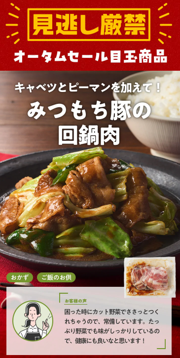 【2026年限定】Oisixのオータムセール！豪華16品が76%OFFの大特価